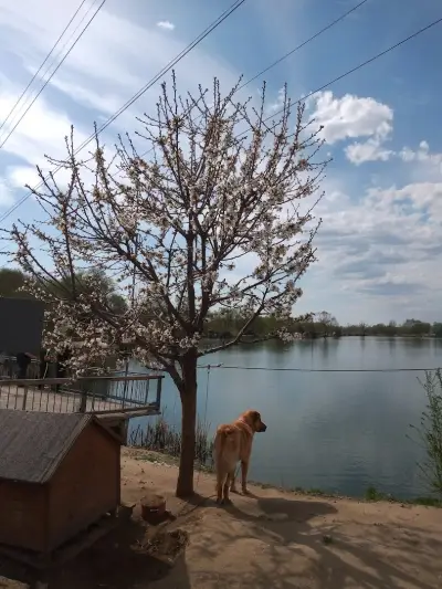 Платен риболов 777
