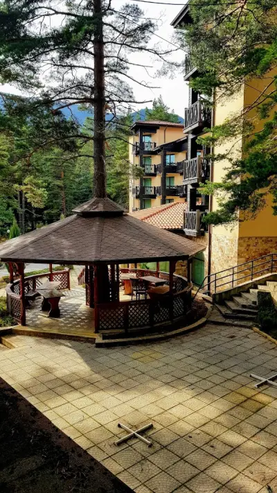 Хотел Магнолия, Hotel Magnoliya