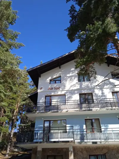 Хотел Магнолия, Hotel Magnoliya