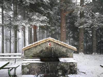 Hunting Residence Lodge