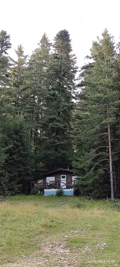Hunting Residence Lodge