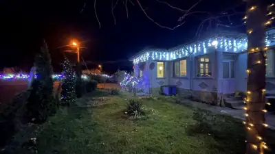 Хотел за кучета РИТА