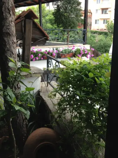 Hotel Alpineum