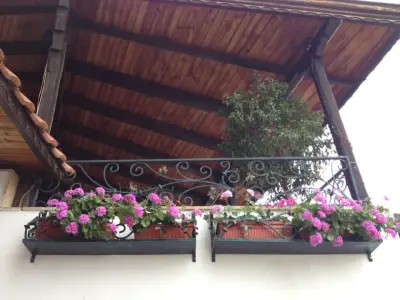Hotel Alpineum