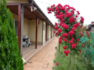 КАНЕТ