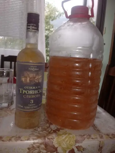 Хотел "Витоша"