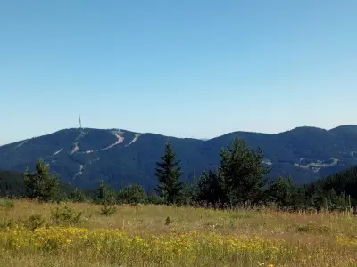 Картала