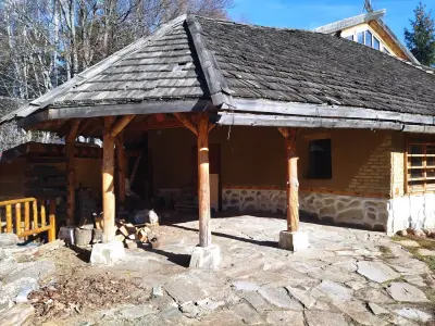 Детски Стационар Белите Брези