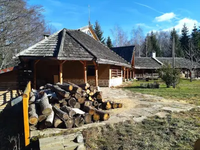 Детски Стационар Белите Брези