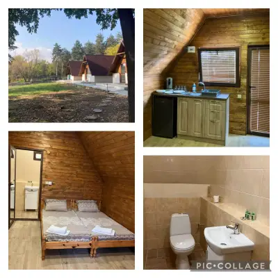 Вили Янкови