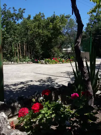 Villa Sunny Day