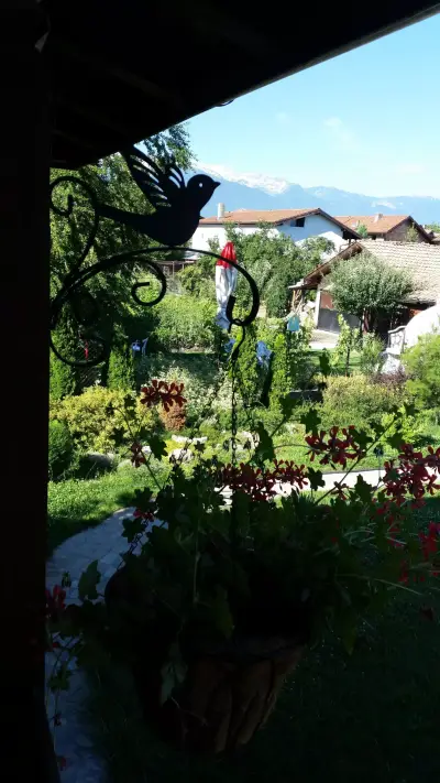Guest House Zhabokrek