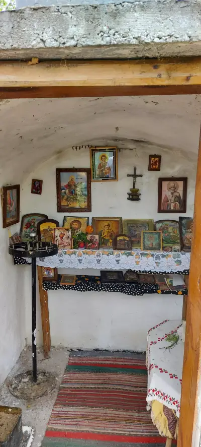 Vila Pchelina