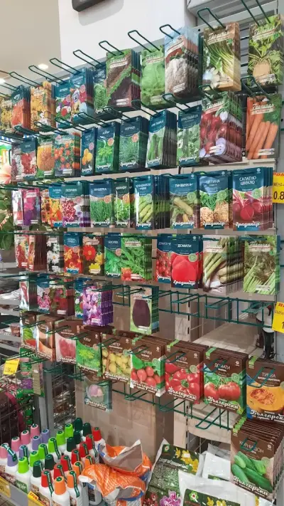 Supermarket Lazur 6