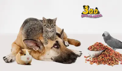 ЗОО ГРУП БГ - КУЧЕШКА И КОТЕШКА ХРАНА НА ЕДРО