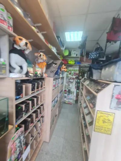 зоомагазин