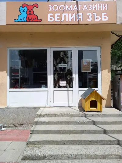 Зоомагазини Белия зъб