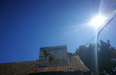 PetLab Store