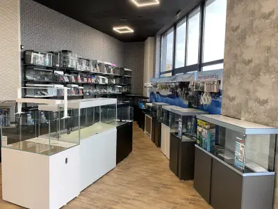 Аквариум БГ Пловдив - Магазин за акваристика