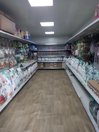 Дафори Добрич