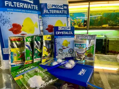 Зоомагазин Ниагара