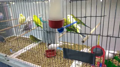 ЗООМАГАЗИН HAPPY TAILS