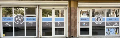 Барс и Бела – зоомагазин и груминг салон