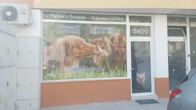 Зоомагазин "Дейзи"