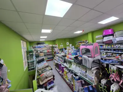 Зоомагазин Pets Planet