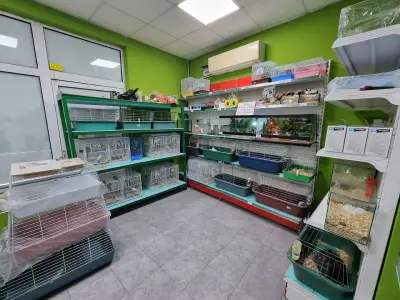 Зоомагазин Pets Planet