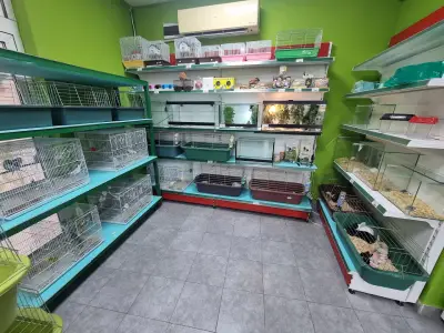 Зоомагазин Pets Planet