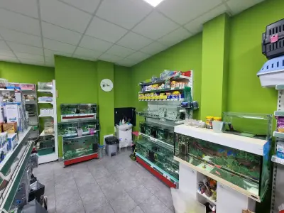 Зоомагазин Pets Planet