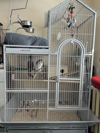 PetCages.Bg - Клетки за Папагали-Птици-Бозайници