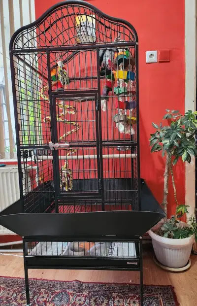 PetCages.Bg - Клетки за Папагали-Птици-Бозайници
