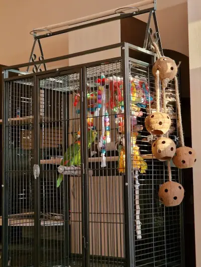 PetCages.Bg - Клетки за Папагали-Птици-Бозайници