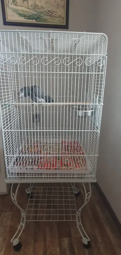 PetCages.Bg - Клетки за Папагали-Птици-Бозайници