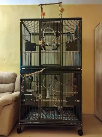 PetCages.Bg - Клетки за Папагали-Птици-Бозайници