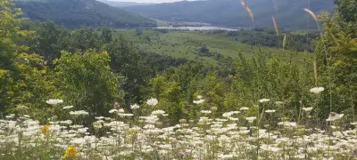 Меандър Бориславци