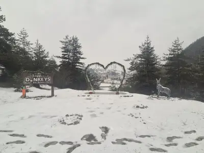 Люлка с панорамна гледка с. Маджаре (Madjare's Hug)