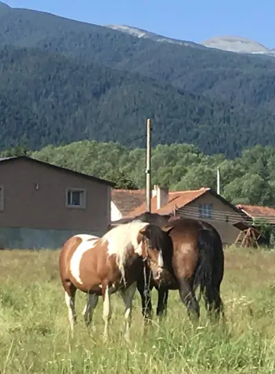 Доспей махала Говедарци