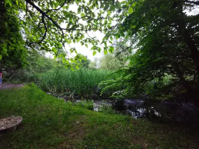 Компасът