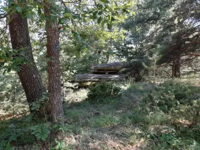 Планина за всеки