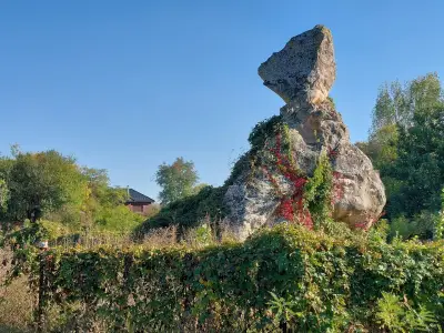 Дикилиташ