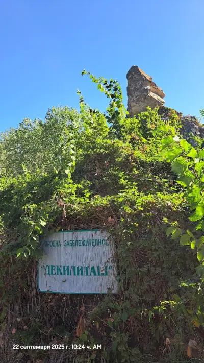 Дикилиташ