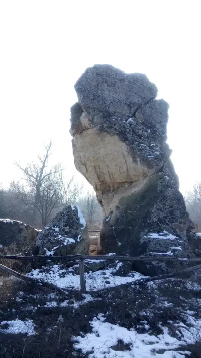 Дикилиташ