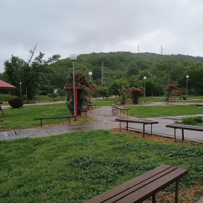 Царството на водните лилии