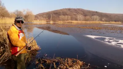 Царството на водните лилии