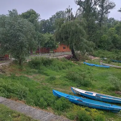Царството на водните лилии