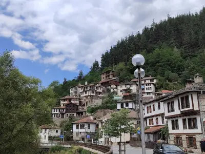 Широка лъка