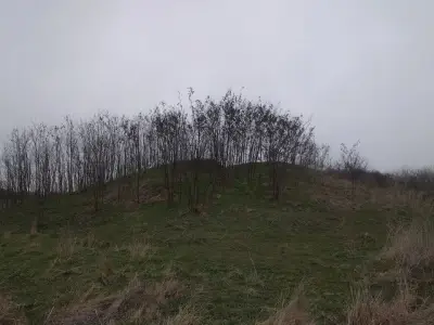 Кромлех в Чолакова могила